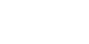 Pegasus Automotive Group automotive client logo by WebinPocket
