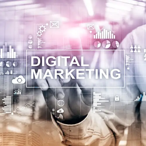 Digital Marketing Agency in Chandigarh