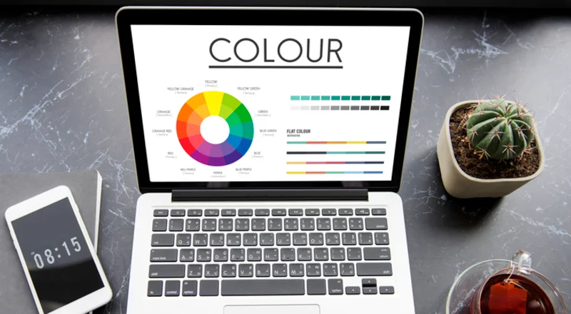 business website colors